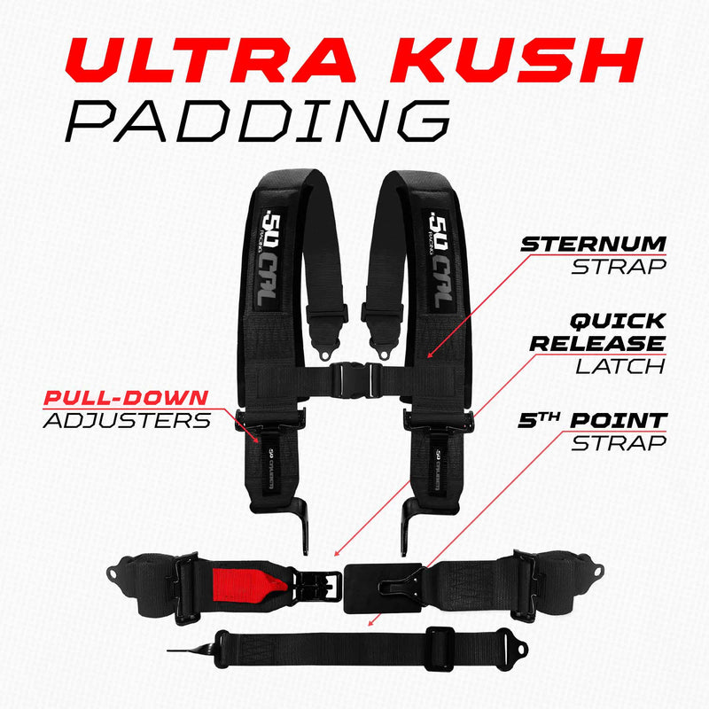 Load image into Gallery viewer, SFI Approved 2" and  3" 5 point Harness, Racing Harness
