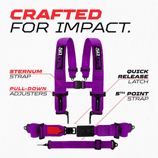 SFI Approved 2" and  3" 5 point Harness, Racing Harness