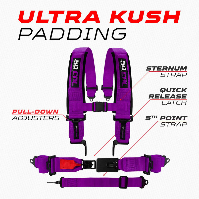Load image into Gallery viewer, SFI Approved 2" and  3" 5 point Harness, Racing Harness

