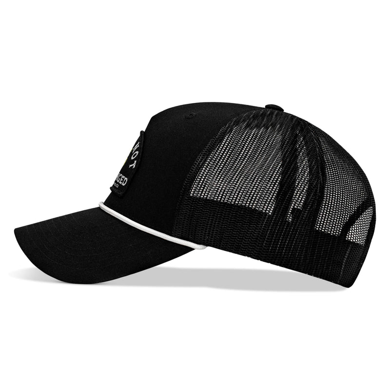 Load image into Gallery viewer, Shall Not Be Infringed Patch Rope Snapback Hat

