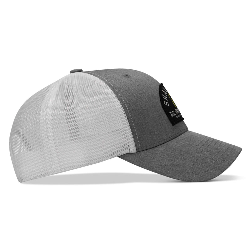 Load image into Gallery viewer, Shall Not Be Infringed Patch Snapback Hat
