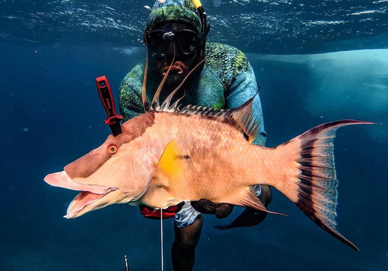 Load image into Gallery viewer, 4" FREEDIVING KNIFE
