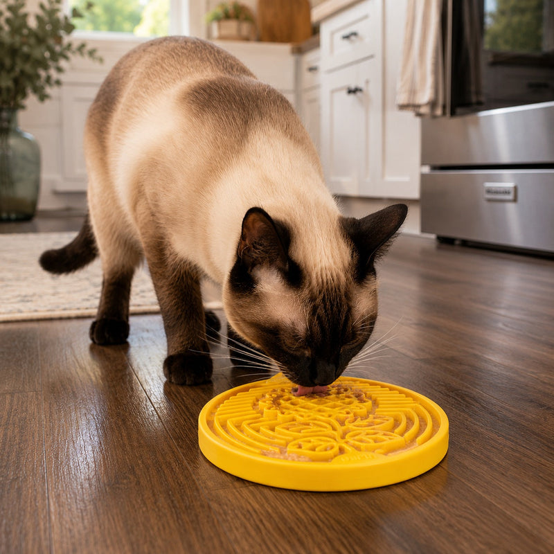 Load image into Gallery viewer, Earth eCoin Nylon Lick Mat for Dogs | USA Made Enrichment Toy | SodaPup
