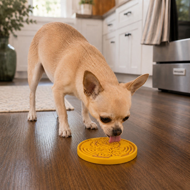 Load image into Gallery viewer, Earth eCoin Nylon Lick Mat for Dogs | USA Made Enrichment Toy | SodaPup
