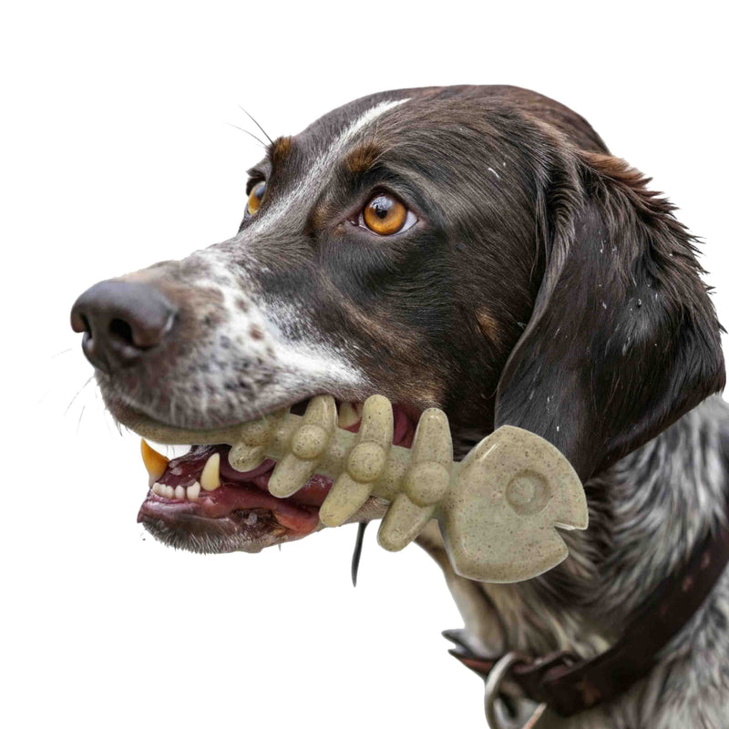 Load image into Gallery viewer, Fish Bone Nylon Dog Toy for Aggressive Chewers | USA Made | SodaPup

