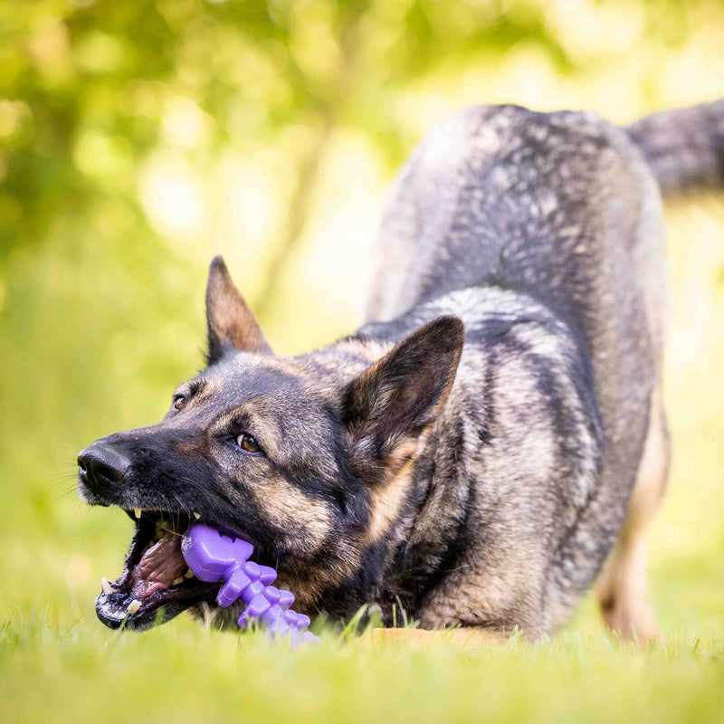 Load image into Gallery viewer, Fish Bone Nylon Dog Toy for Aggressive Chewers | USA Made | SodaPup
