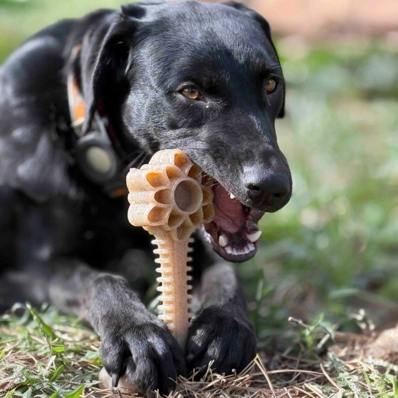 Load image into Gallery viewer, Honey Bone Dental Flower Tower - Indestructible Nylon Dog Chew Toy XL | USA
