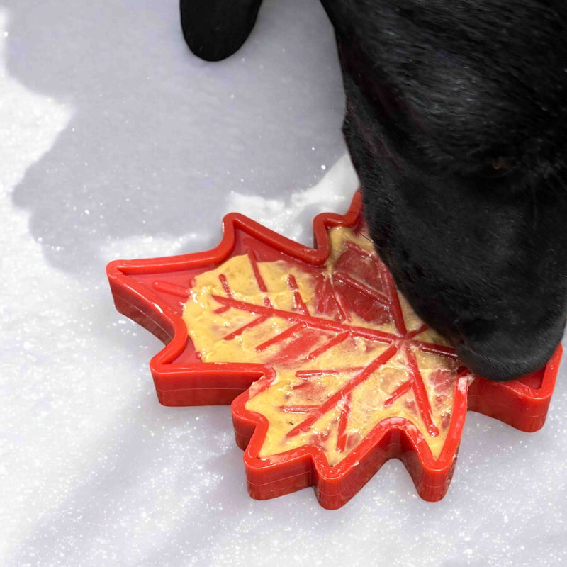 Load image into Gallery viewer, Canadian Maple Leaf Nylon Dog Chew Toy - Indestructible &amp; USA Made

