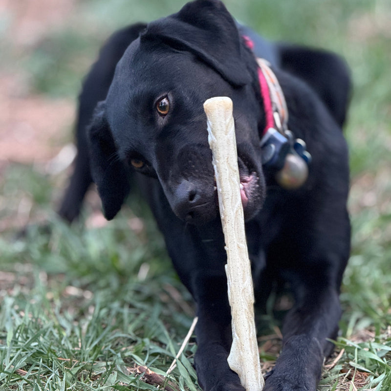 Load image into Gallery viewer, Durable Nylon Chew Stick for Power Chewers | Indestructible Dog Toy USA
