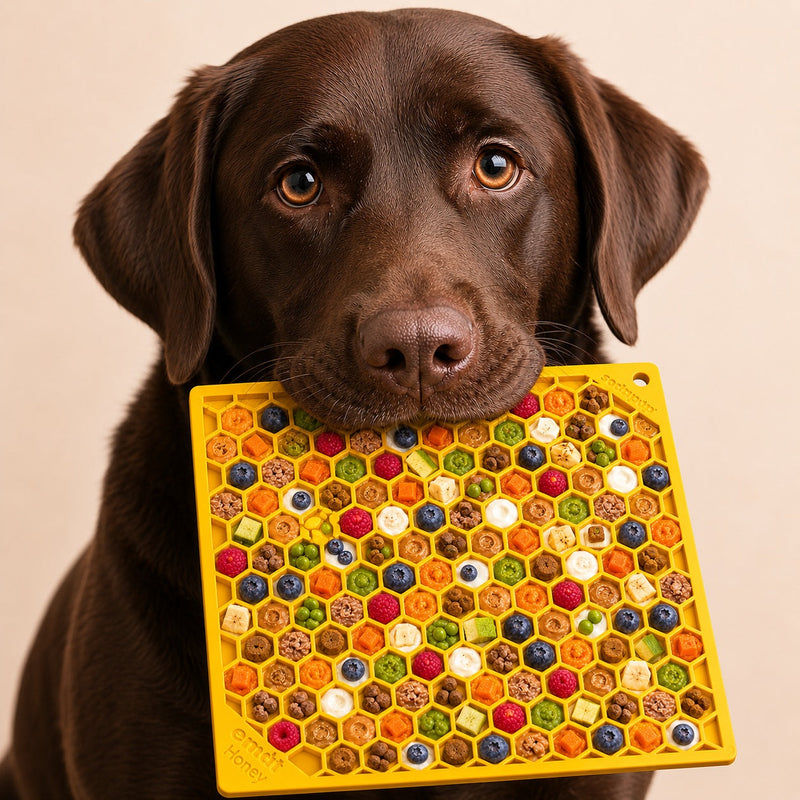 Load image into Gallery viewer, Honeycomb eMat - Enrichment Lick Mat for Dogs and Cats | eMat Enrichment Toy for Anxiety Relief | SodaPup
