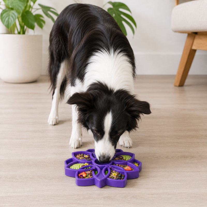 Load image into Gallery viewer, Mandala eTray Shallow Slow Feeder Dog Bowl for Enrichment | USA Made
