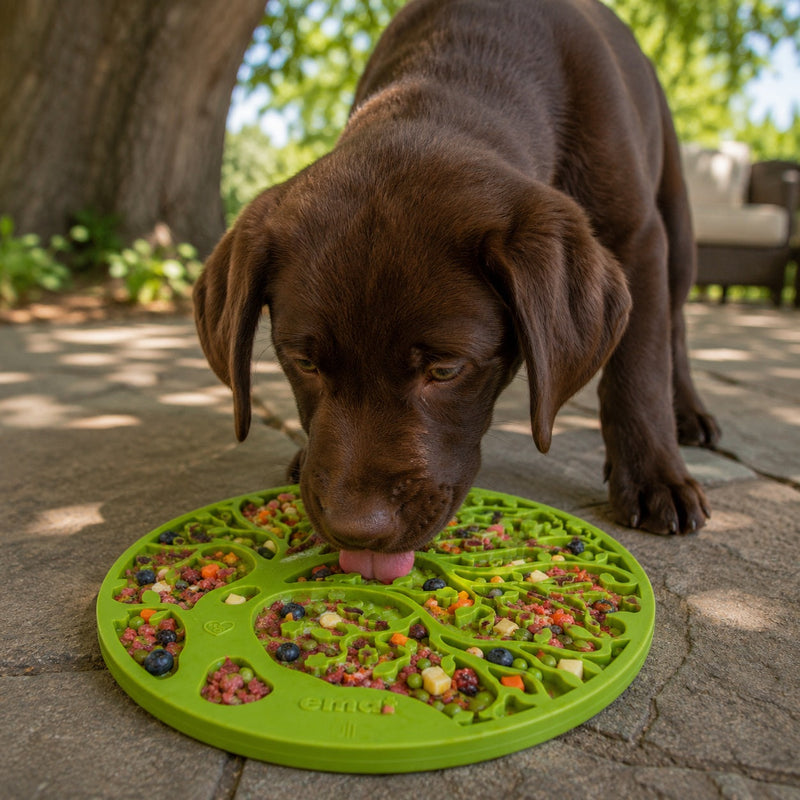 Load image into Gallery viewer, Tree of Life eMat - Enrichment Lick Mat For Dogs and Cats - With Suction Cups | Tree Design | USA Made
