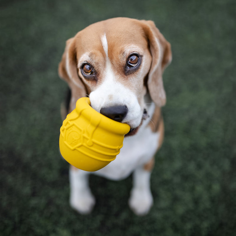 Load image into Gallery viewer, Honey Pot Dog eCup Treat Dispenser | Durable PUP-X Rubber Enrichment Toy | USA Made
