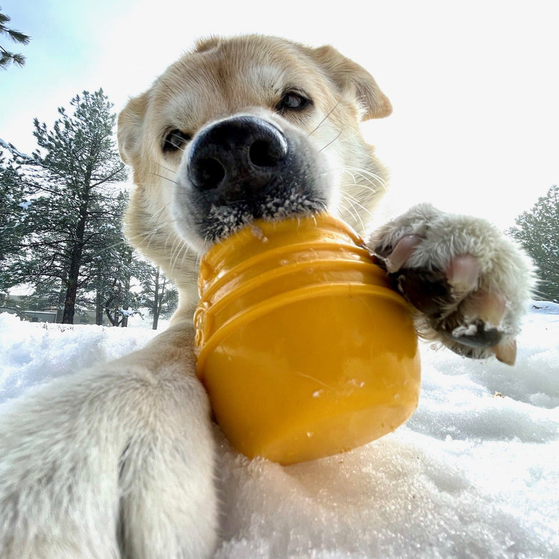 Load image into Gallery viewer, Honey Pot Dog eCup Treat Dispenser | Durable PUP-X Rubber Enrichment Toy | USA Made
