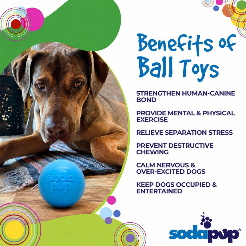 Load image into Gallery viewer, Squeak Ball - Durable Squeaky Dog Toy, Floats, Chew Toy | USA Made
