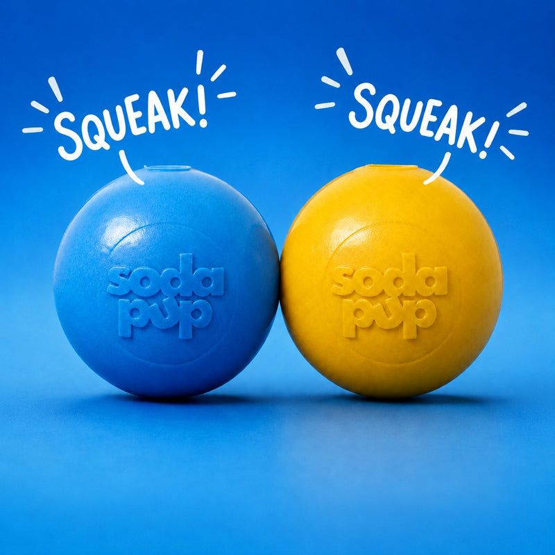 Load image into Gallery viewer, Squeak Ball - Durable Squeaky Dog Toy, Floats, Chew Toy | USA Made
