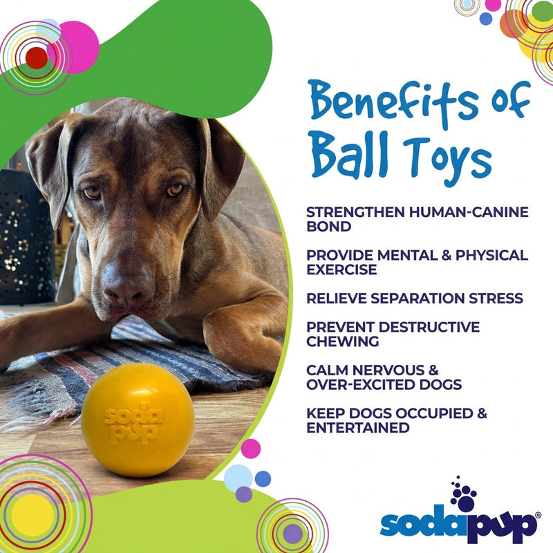Load image into Gallery viewer, Squeak Ball - Durable Squeaky Dog Toy, Floats, Chew Toy | USA Made
