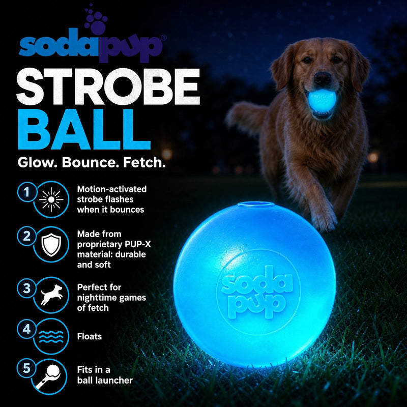 Load image into Gallery viewer, Strobe Ball Light-Up Dog Toy - Durable Floating Chew Ball | Made in USA
