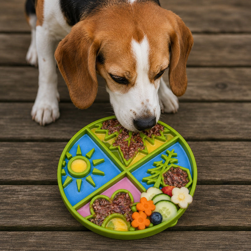 Load image into Gallery viewer, Four Seasons eTray - Shallow Slow Feeder Dog Bowl for Enrichment | USA Made
