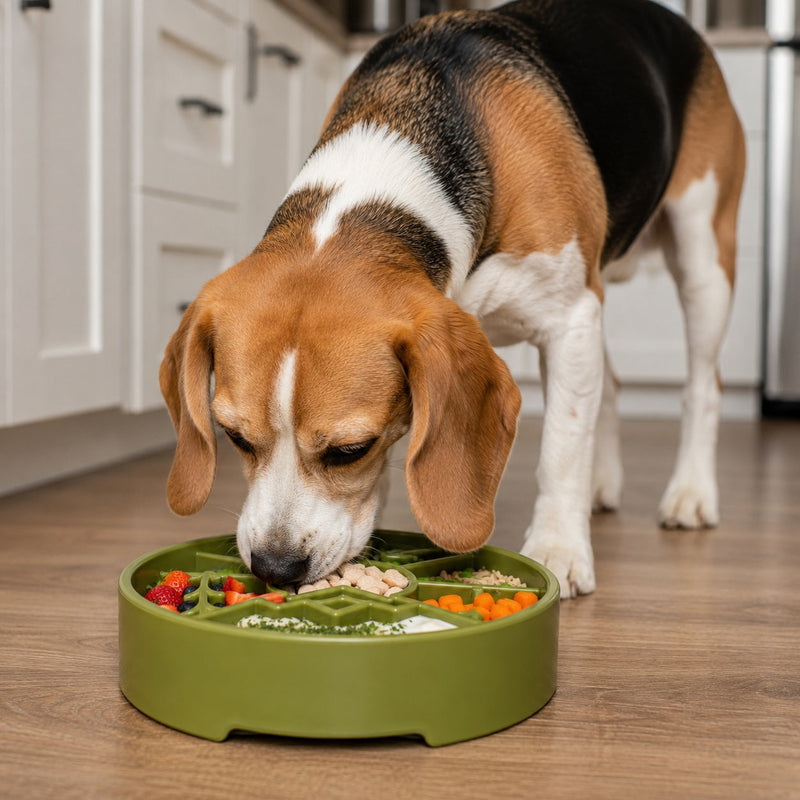 Load image into Gallery viewer, Great Outdoors eBowl - Slow Feeder Dog Bowl &amp; Enrichment | USA Made
