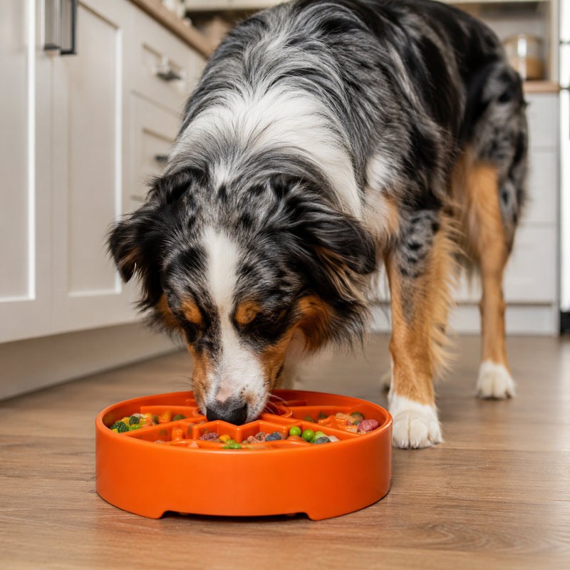 Load image into Gallery viewer, Great Outdoors eBowl - Slow Feeder Dog Bowl &amp; Enrichment | USA Made
