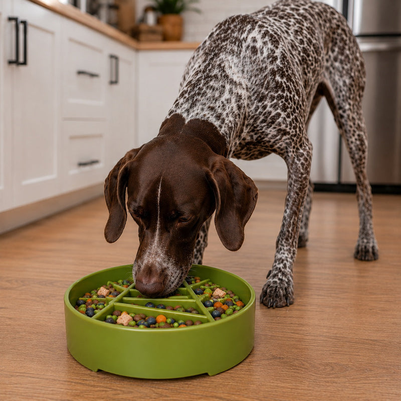 Load image into Gallery viewer, Pine Tree Christmas eBowl Deep Slow Feeder Dog Bowl for Enrichment | USA Made
