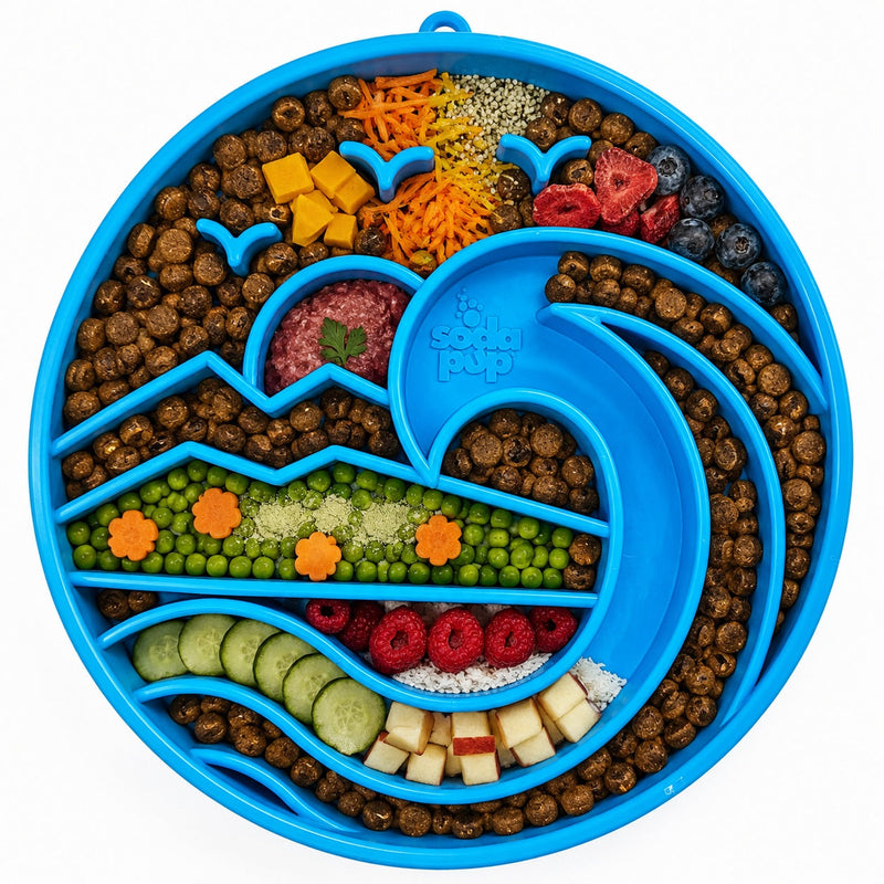 Load image into Gallery viewer, Baja Design eTray - Shallow Slow Feeder Dog Bowl for Enrichment | USA Made
