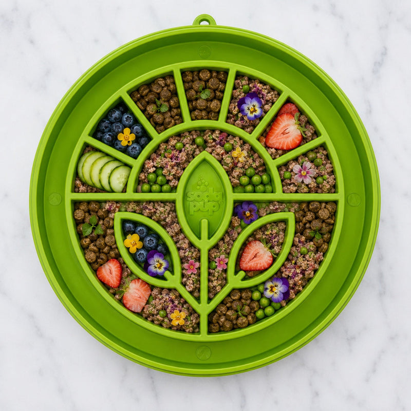 Load image into Gallery viewer, Garden Design eTray - Shallow Slow Feeder Dog Bowl for Enrichment | USA
