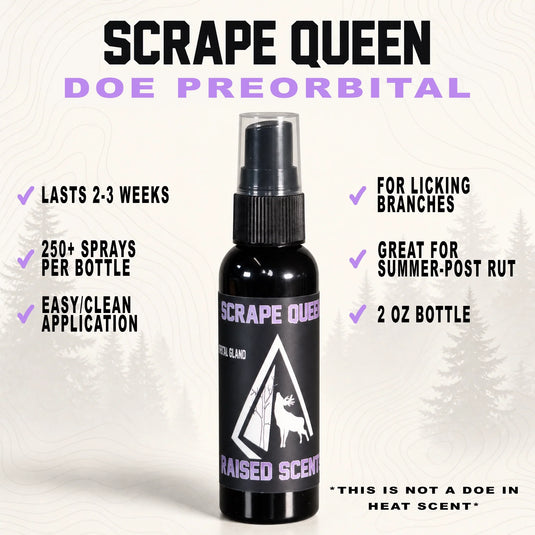 Scrape Queen | Doe Preorbital Gland