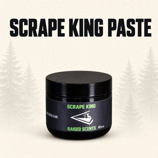Scrape King | Buck Preorbital Gland