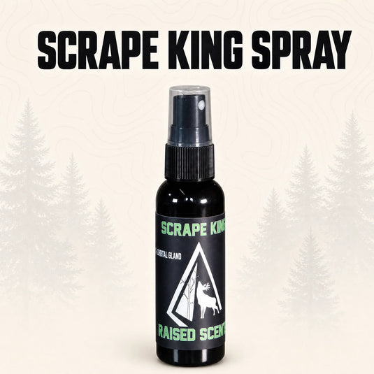 Scrape King | Buck Preorbital Gland