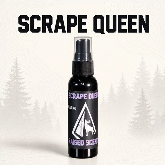 The Elite Package | All Scents All Seasons