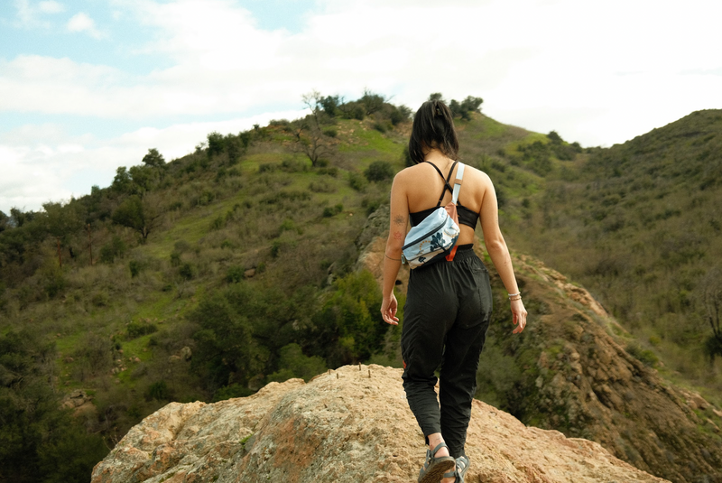Load image into Gallery viewer, Joshua Tree National Park Hip Pack
