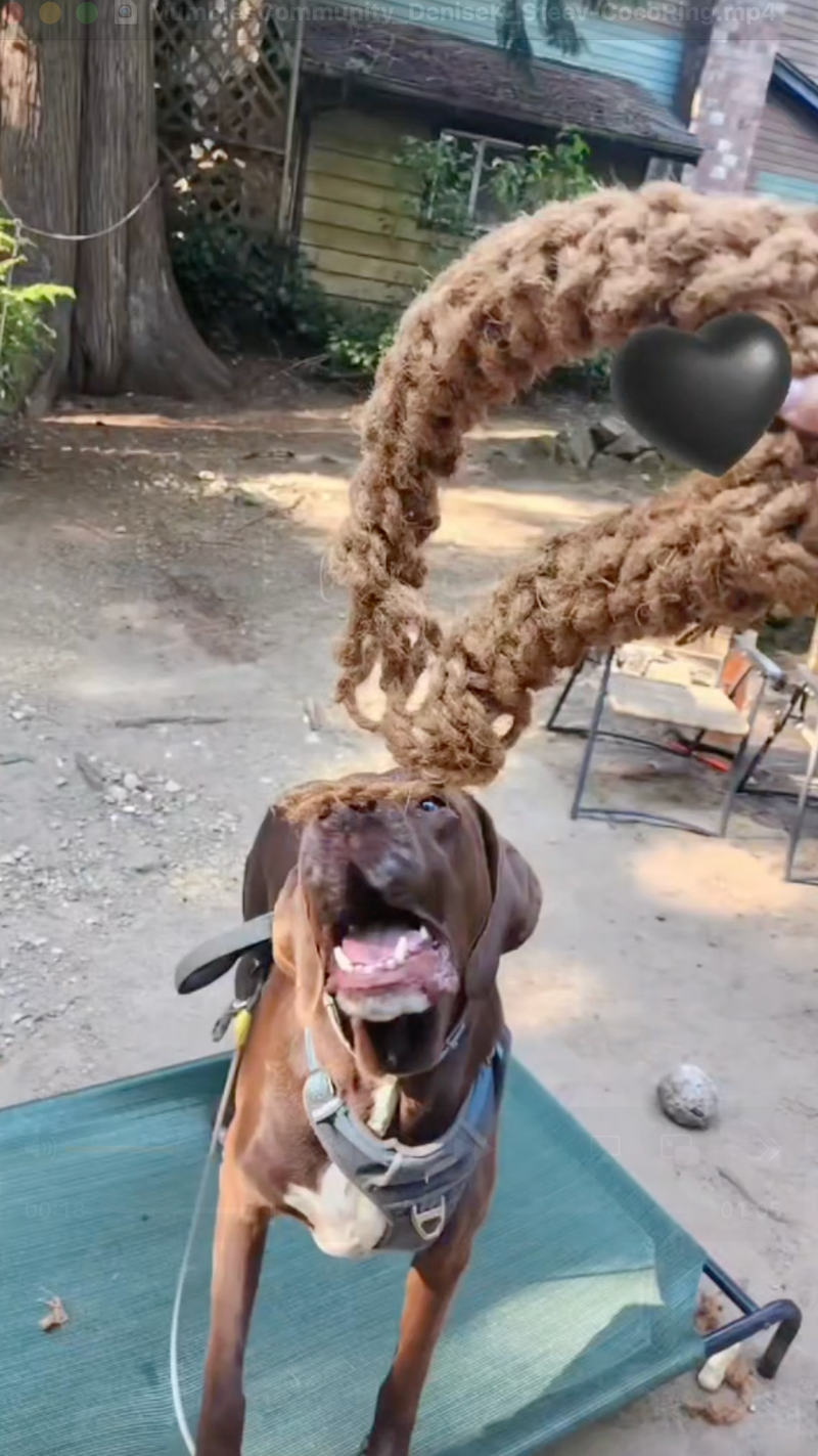 Load image into Gallery viewer, Coconut Rope Ring
