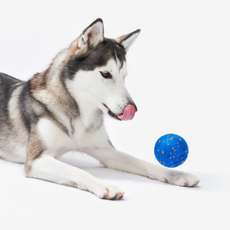 Load image into Gallery viewer, Wicked Ball Air
