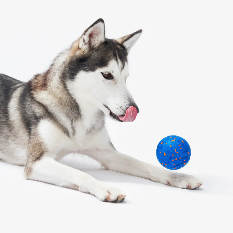 Load image into Gallery viewer, Wicked Ball Air
