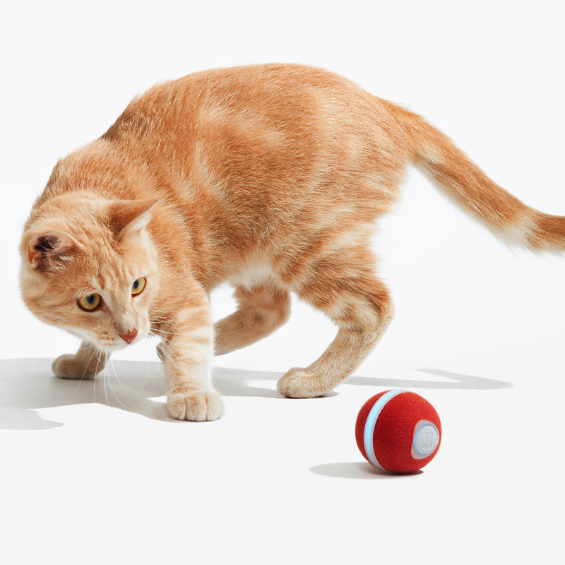 Load image into Gallery viewer, Wicked Ball M3
