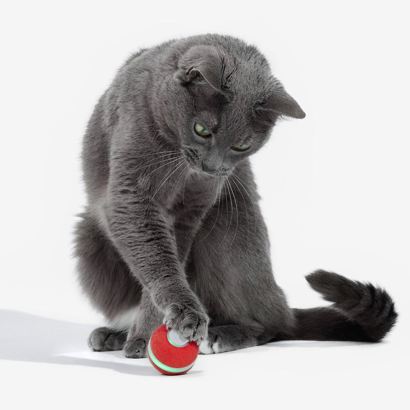 Load image into Gallery viewer, Cheerble Ball
