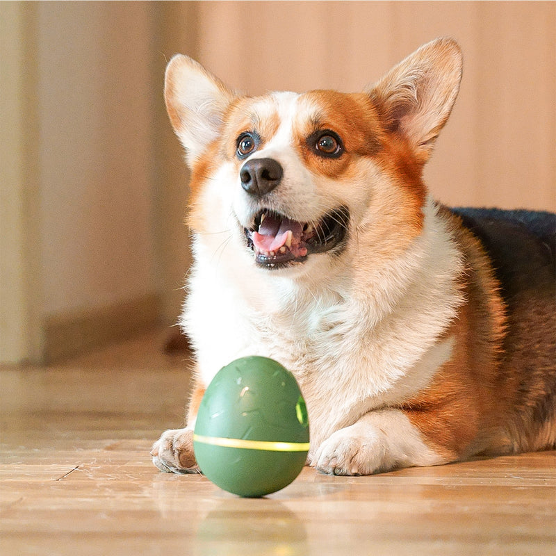 Load image into Gallery viewer, Wicked Egg
