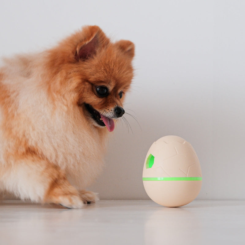 Load image into Gallery viewer, Wicked Egg
