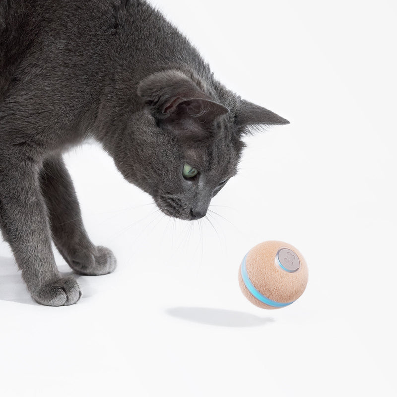 Load image into Gallery viewer, Wicked Ball M3
