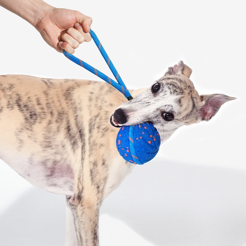 Load image into Gallery viewer, Wicked Ball Air Rope
