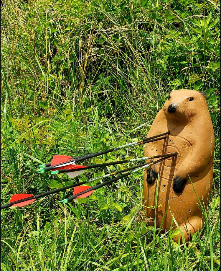 Load image into Gallery viewer, Real Wild 3D Standing Groundhog Archery Target with EZ Pull Foam
