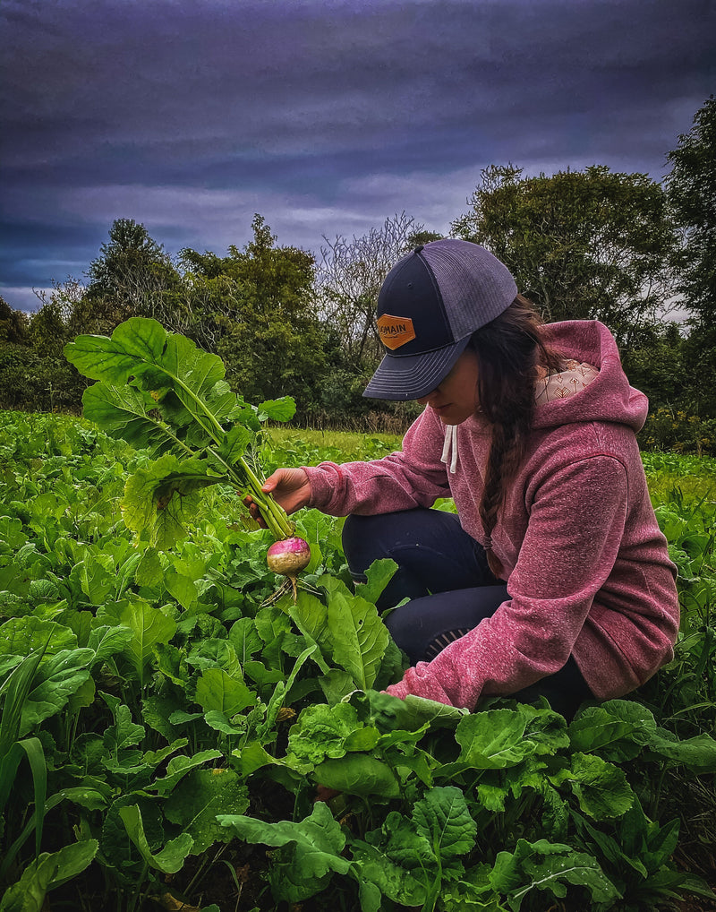 Load image into Gallery viewer, Show Stopper™ Food Plot Seed

