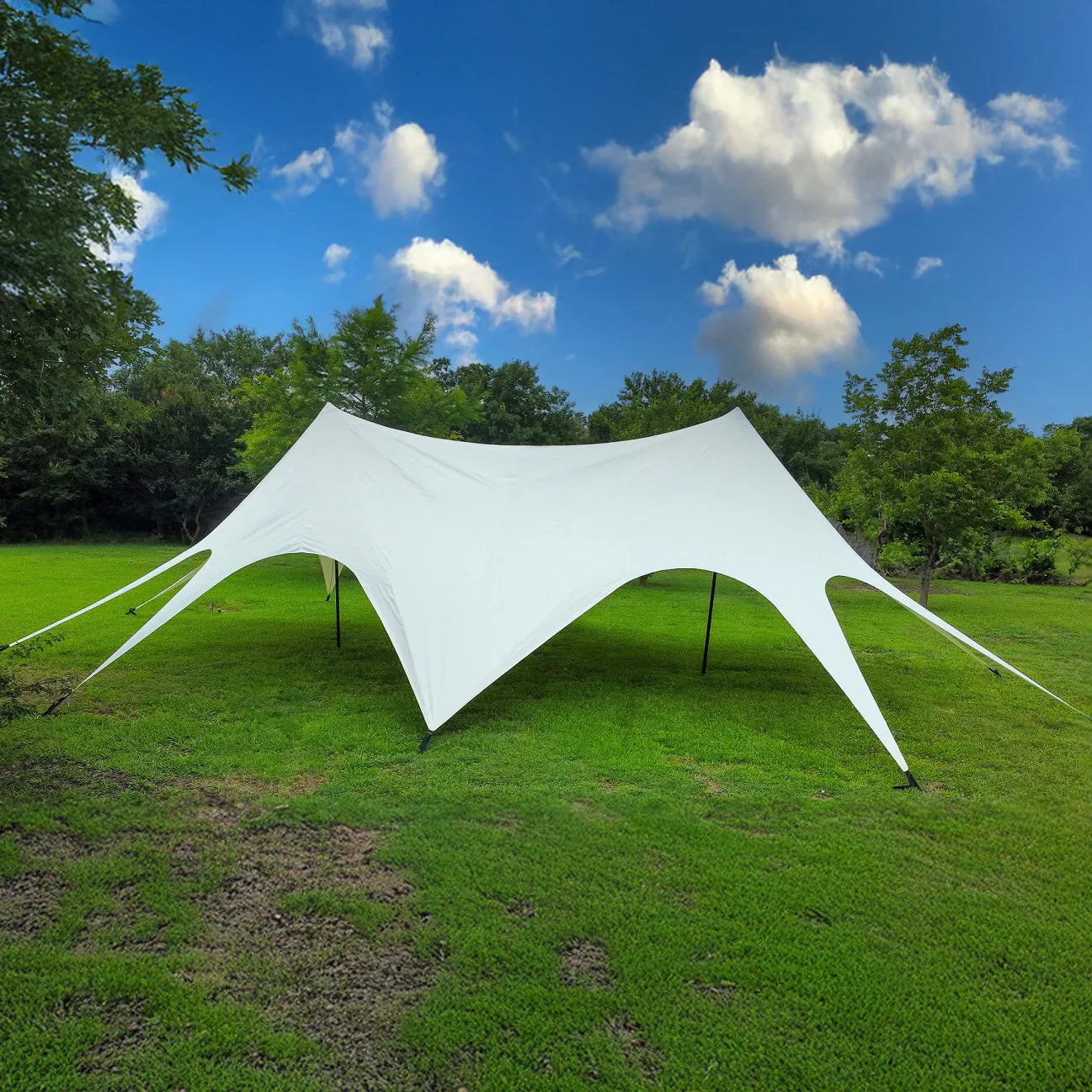Twin Star Canopy