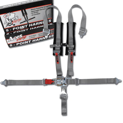 Load image into Gallery viewer, 5 POINT HARNESS (2 INCH PADDING)
