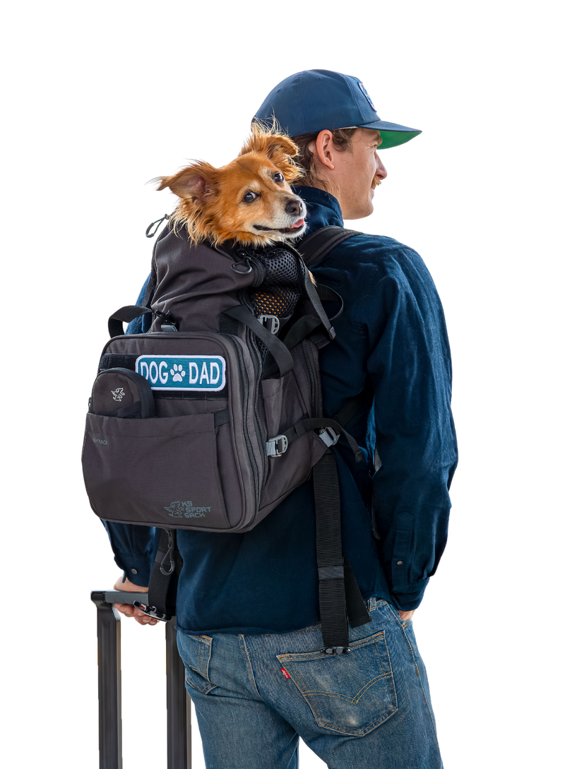 Load image into Gallery viewer, Sky Pack | Convertible Dog Backpack &amp; Pet Carrier

