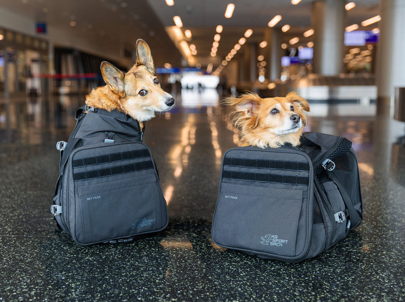 Load image into Gallery viewer, Sky Pack | Convertible Dog Backpack &amp; Pet Carrier
