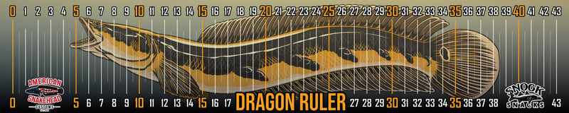 Load image into Gallery viewer, Dragon Ruler
