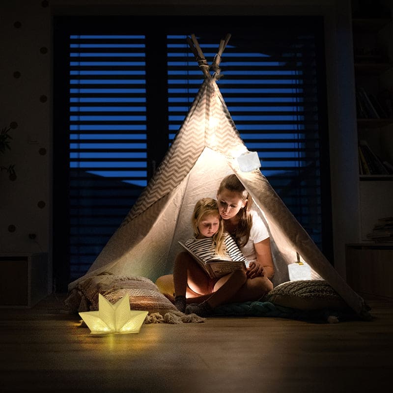 Load image into Gallery viewer, QWNN™ – Solar Lantern and Phone Charging Power Bank
